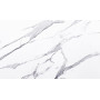 8101/Pt Calacatta Borghini Столешница СЛОТЕКС 3000*600*40 1п/5 Е2