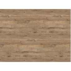 8093/P Wilson Oak Кромка б\клея 3000*42*0,5 Серия е2