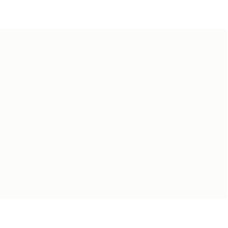 1111/Q Белый Столешница СЛОТЕКС 3000*800*27 1п/5 Серия е1