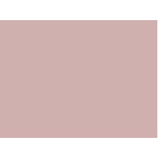1031/8 Light pink ABS 43*1 Мебиус